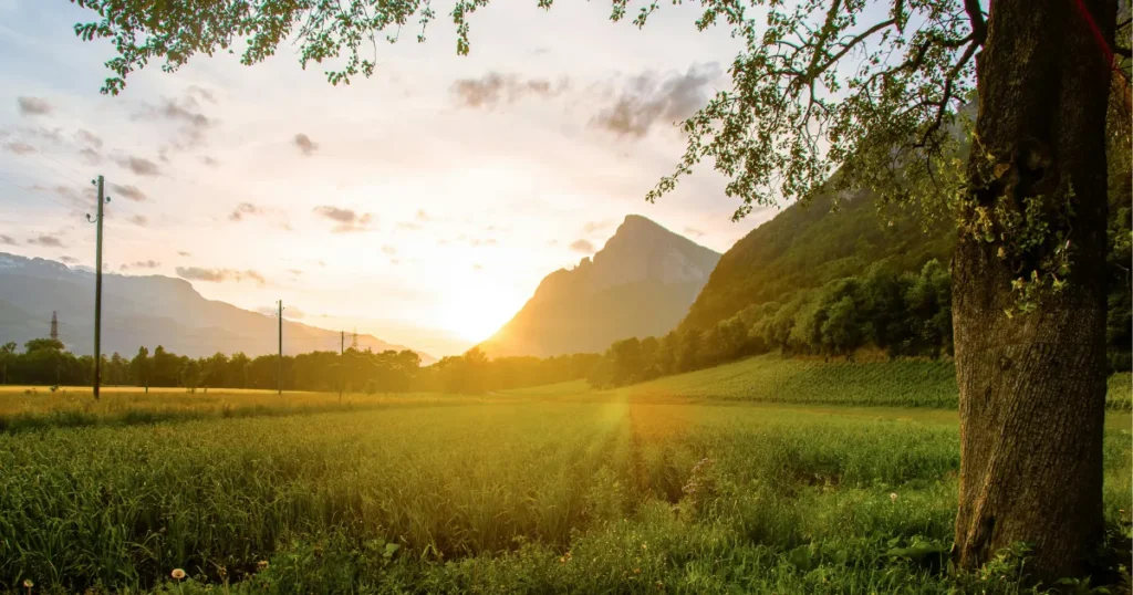のどかな田舎のイメージ